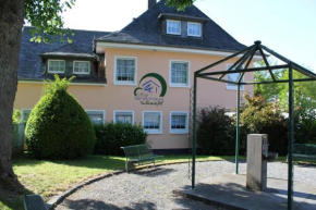 Schöne Ferienwohnung In Daun Mit Garten